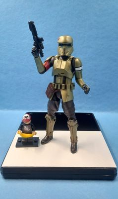 STAR WARS 6&quot; SHORETROOPER (CARBONISED) (P/O)