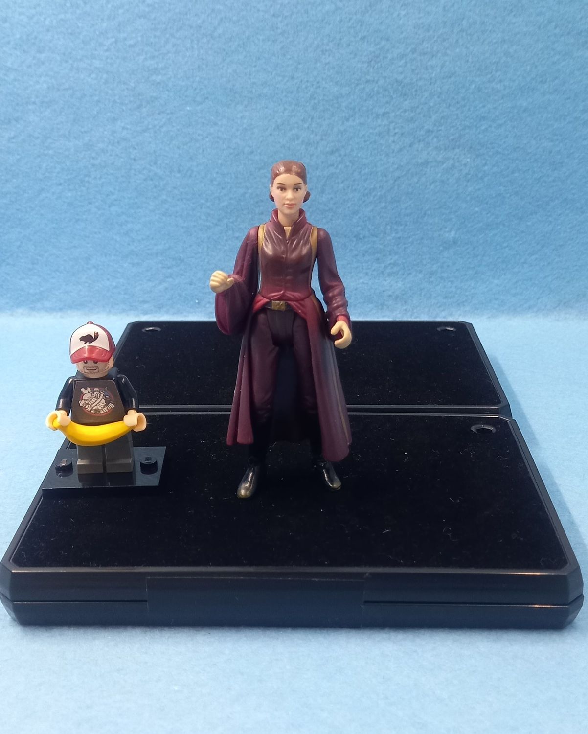 STAR WARS 3.75&quot; QUEEN AMIDALA (P/O)