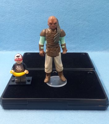 STAR WARS 3.75&quot; WEEQUAY (P/O)