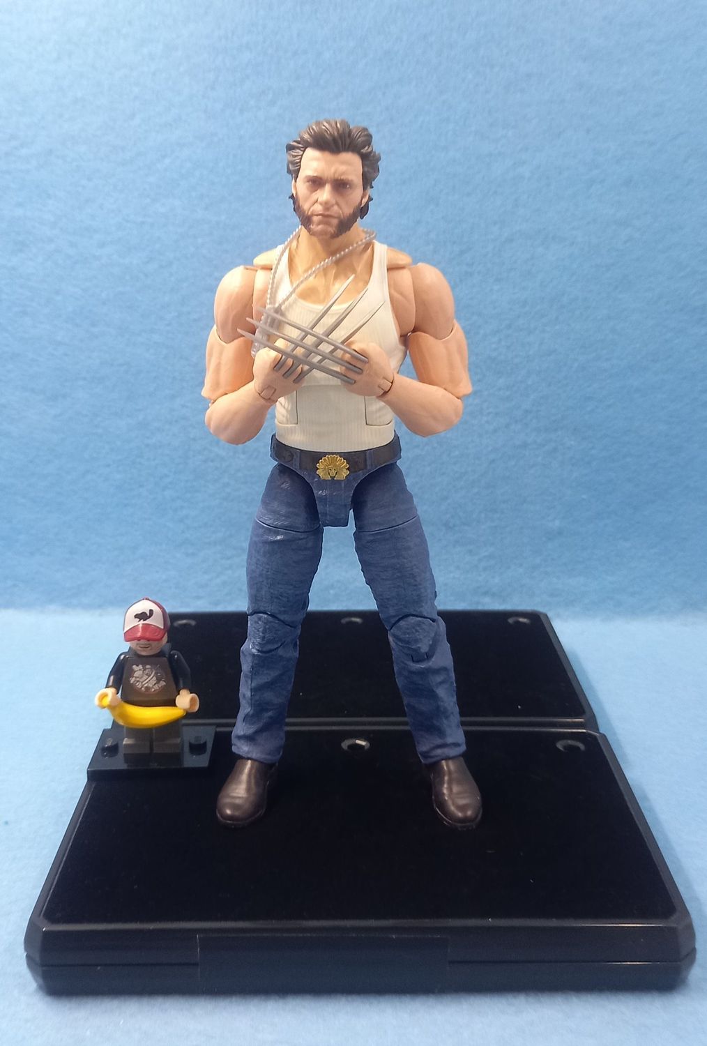 MARVEL LEGENDS WOLVERINE (P/O)