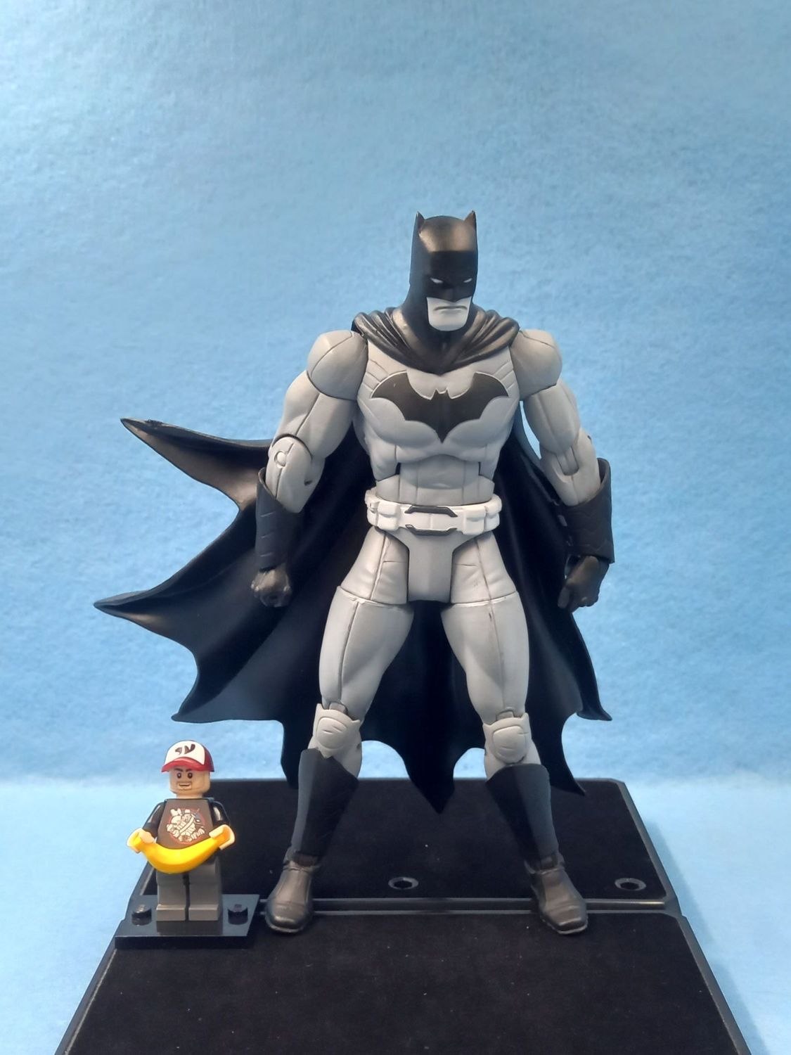 DC COLLECTIBLES BATMAN (P/O)