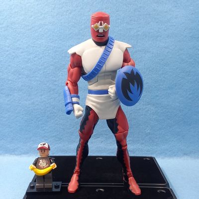 DC UNIVERSE FORAGER (P/O)
