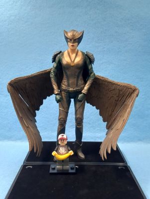 DC LEGENDS HAWKGIRL (P/O)