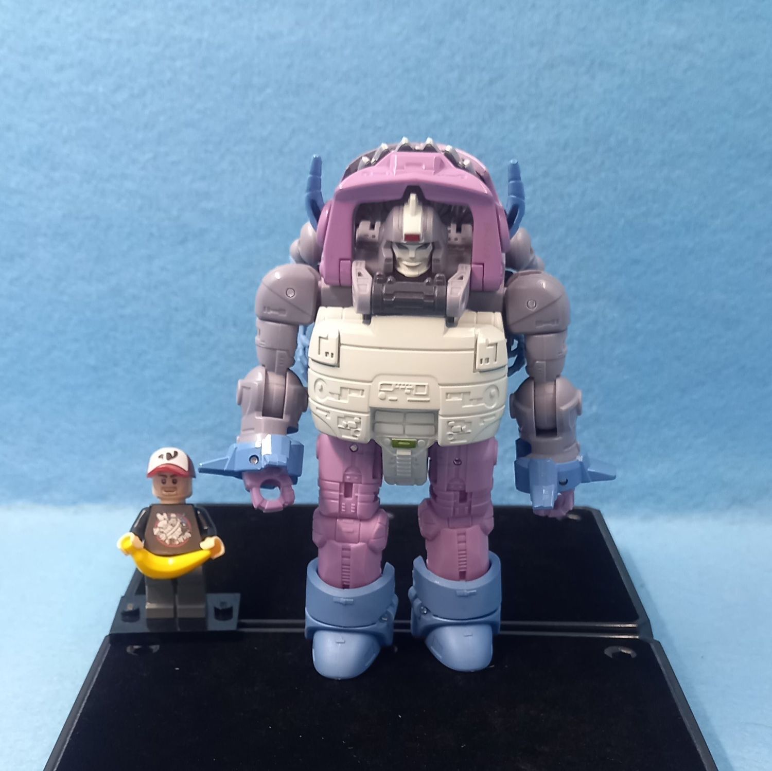 TRANSFORMERS GNAW (P/O)