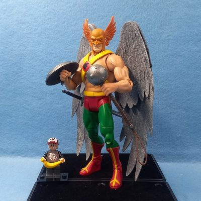 DC UNIVERSE HAWKMAN (P/O)