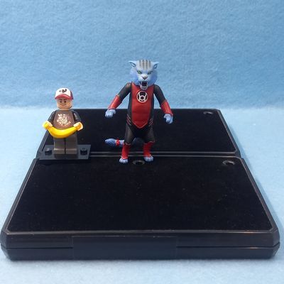 DC UNIVERSE DEX-STARR (P/O)