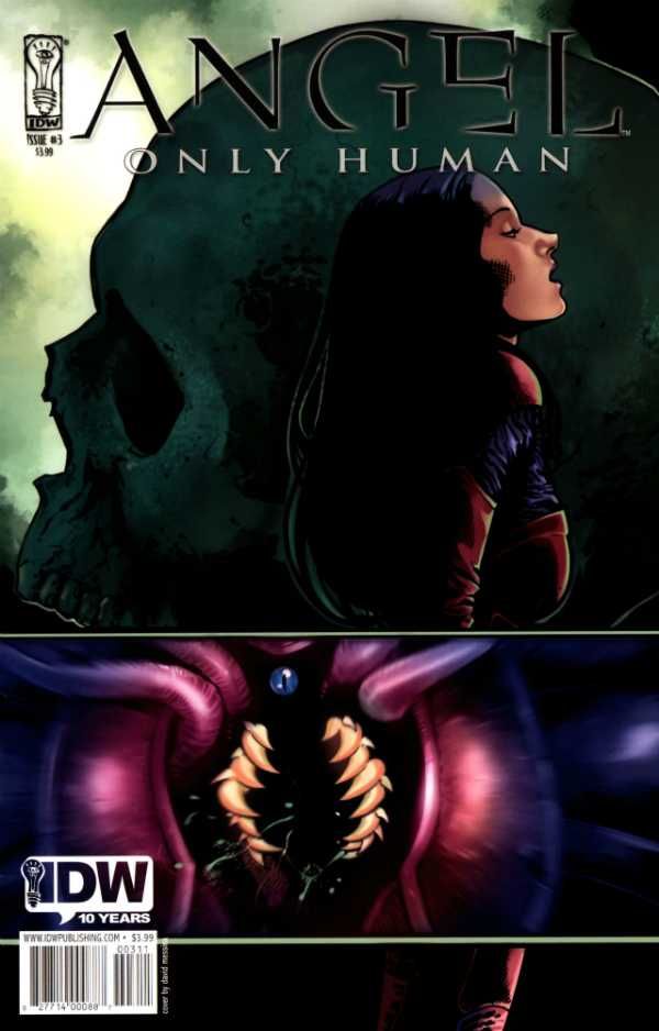 ANGEL ONLY HUMAN (2009) #3