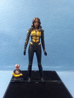 DC COLLECTIBLES VIXEN (P/O)