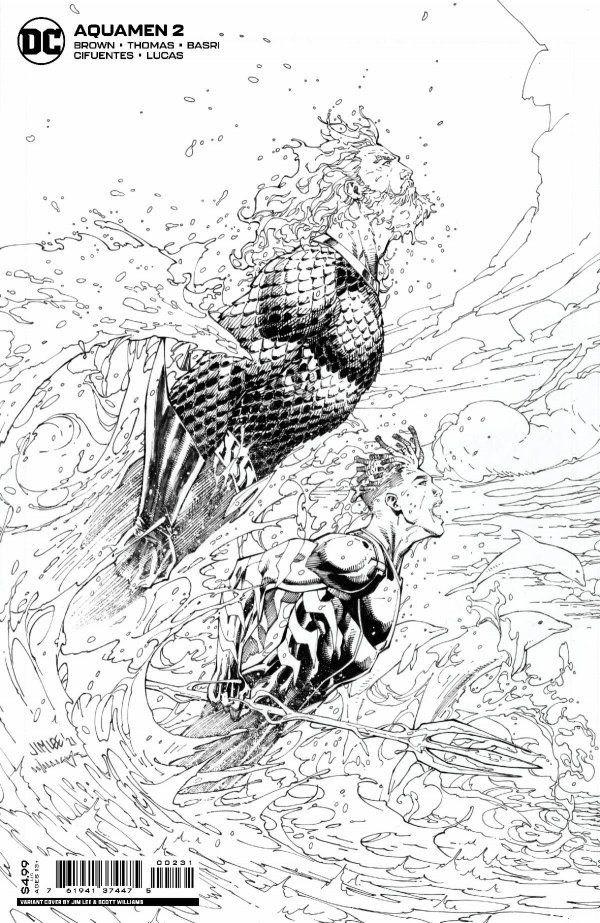AQUAMEN (2022) #2 CVR C