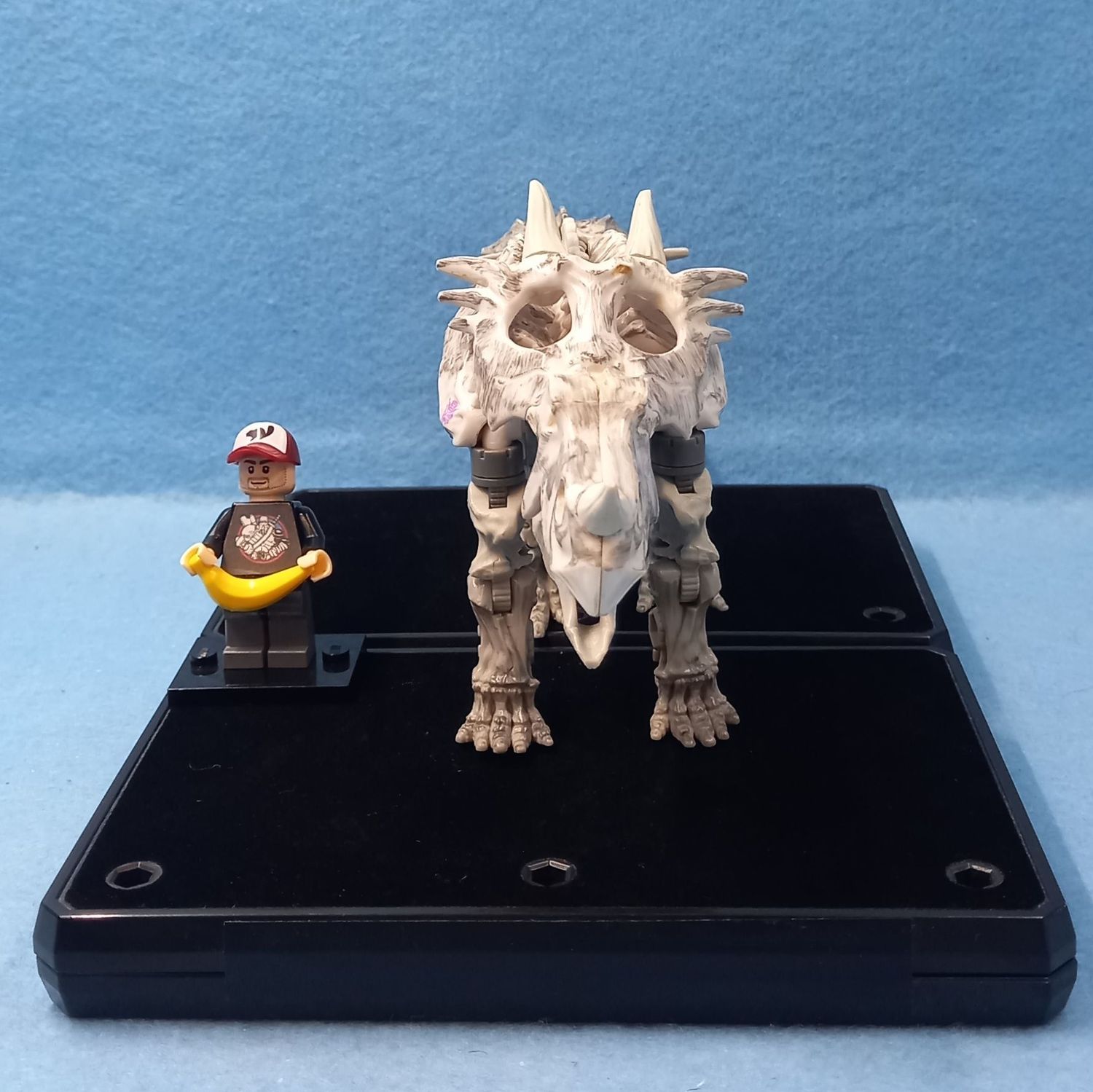 TRANSFORMERS RACTONITE (P/O)