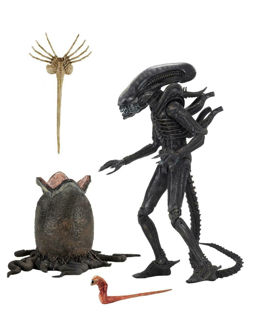 ALIEN - BIG CHAP