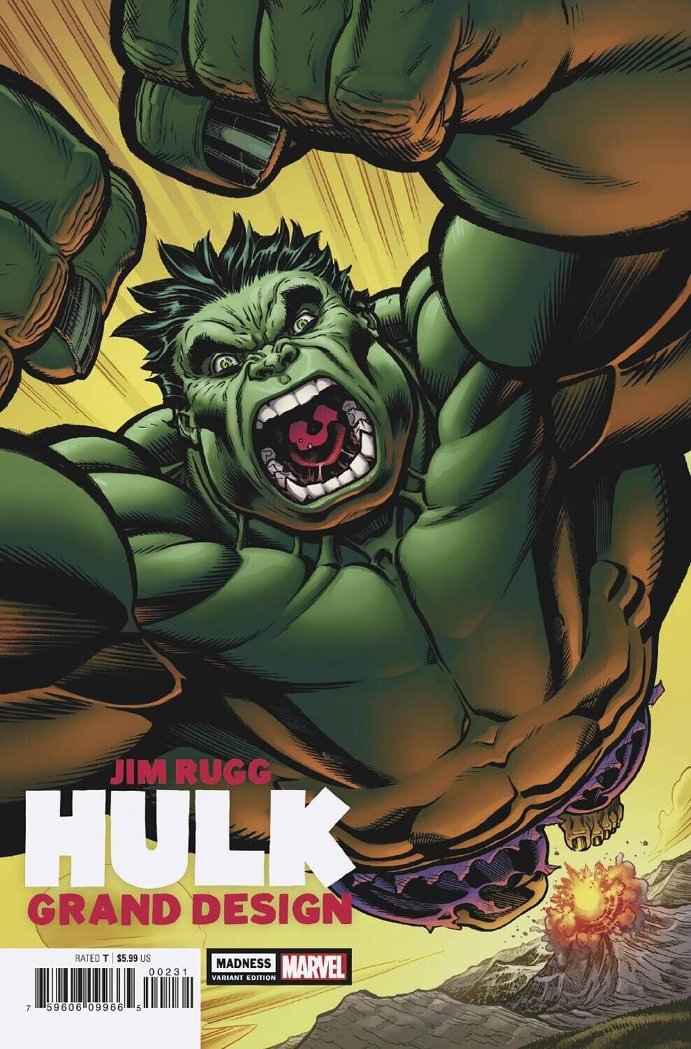 HULK GRAND DESIGN MADNESS #1 CVR C