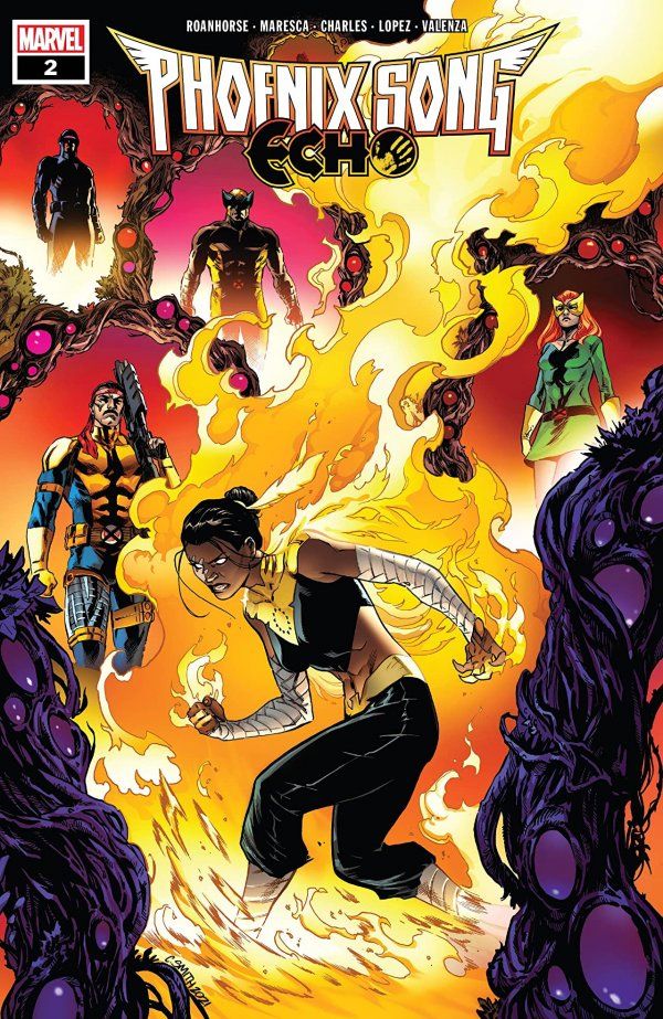 PHOENIX SONG ECHO (2021) #2