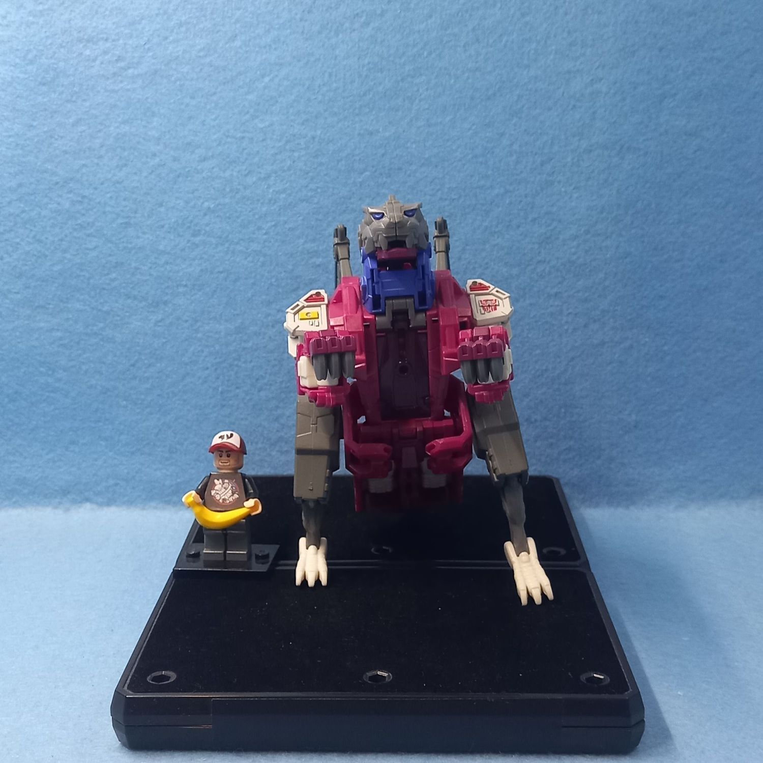 TRANSFORMERS GROTUSQUE (P/O)