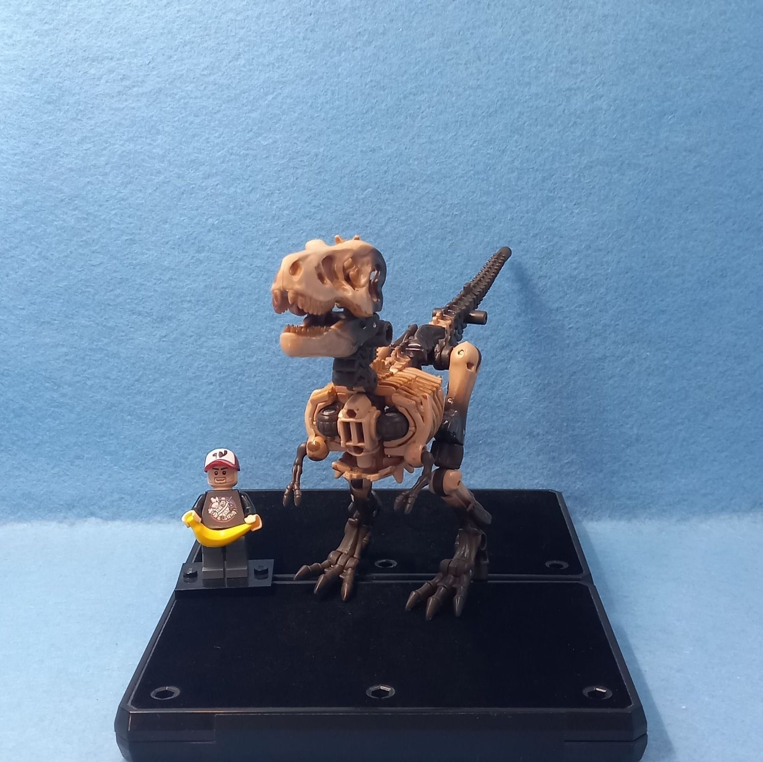 TRANSFORMERS PALEOTREX (P/O)