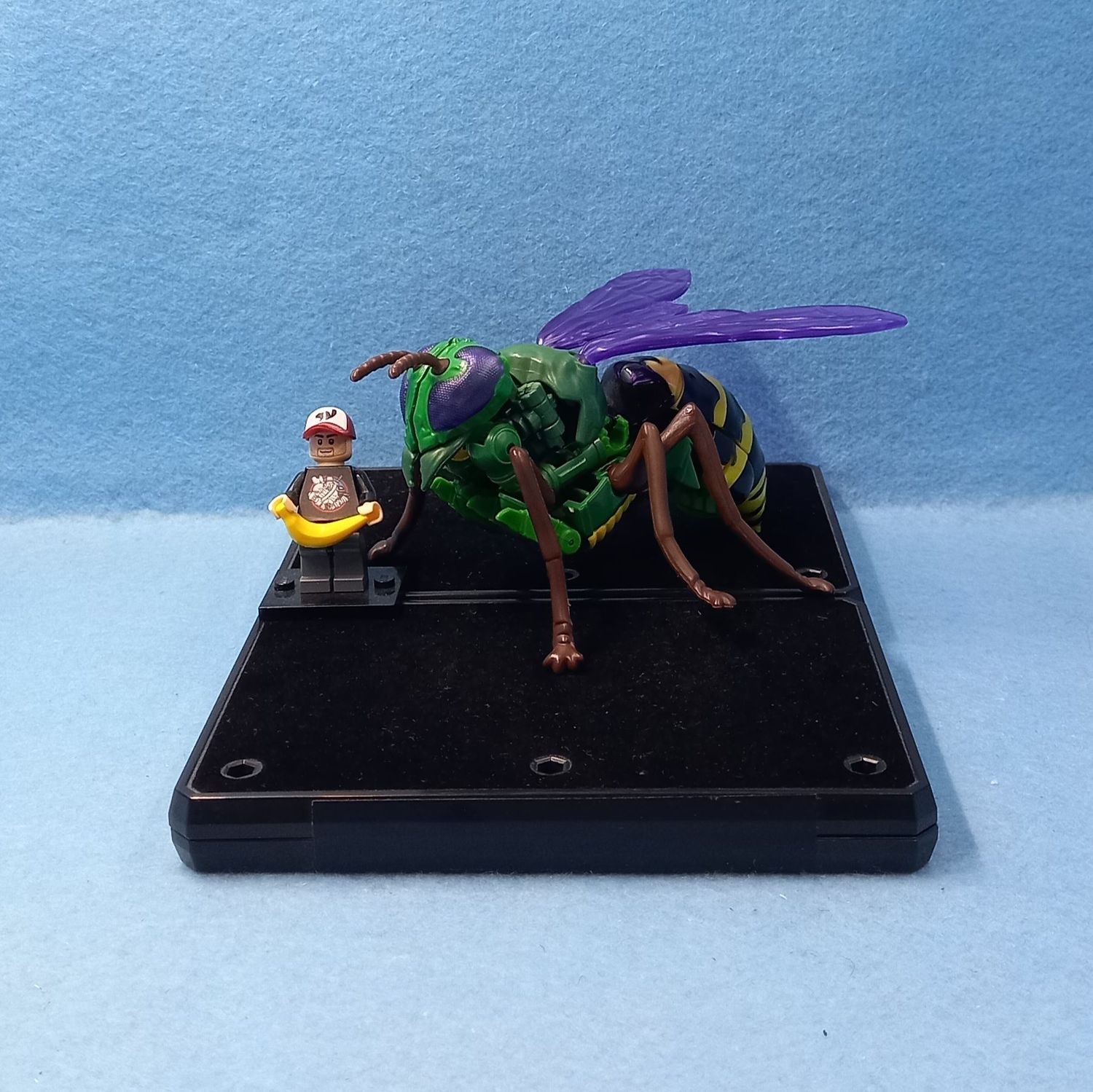 TRANSFORMERS WASPINATOR (P/O)