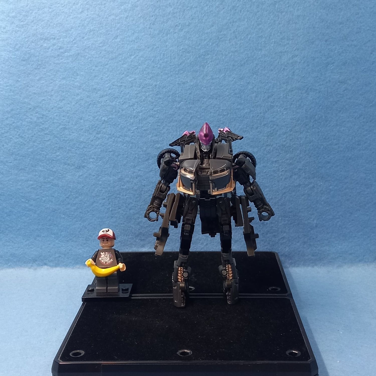 TRANSFORMERS NIGHTBIRD (P/O)