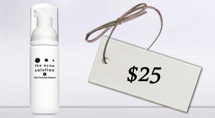Eva Taub Clarifying Foaming Cleanser – Oil-Control &amp; Acne Treatment
