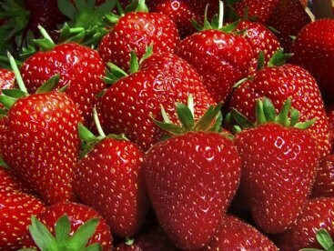 Strawberry - All Natural Oil