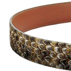 Rattlesnake Belt