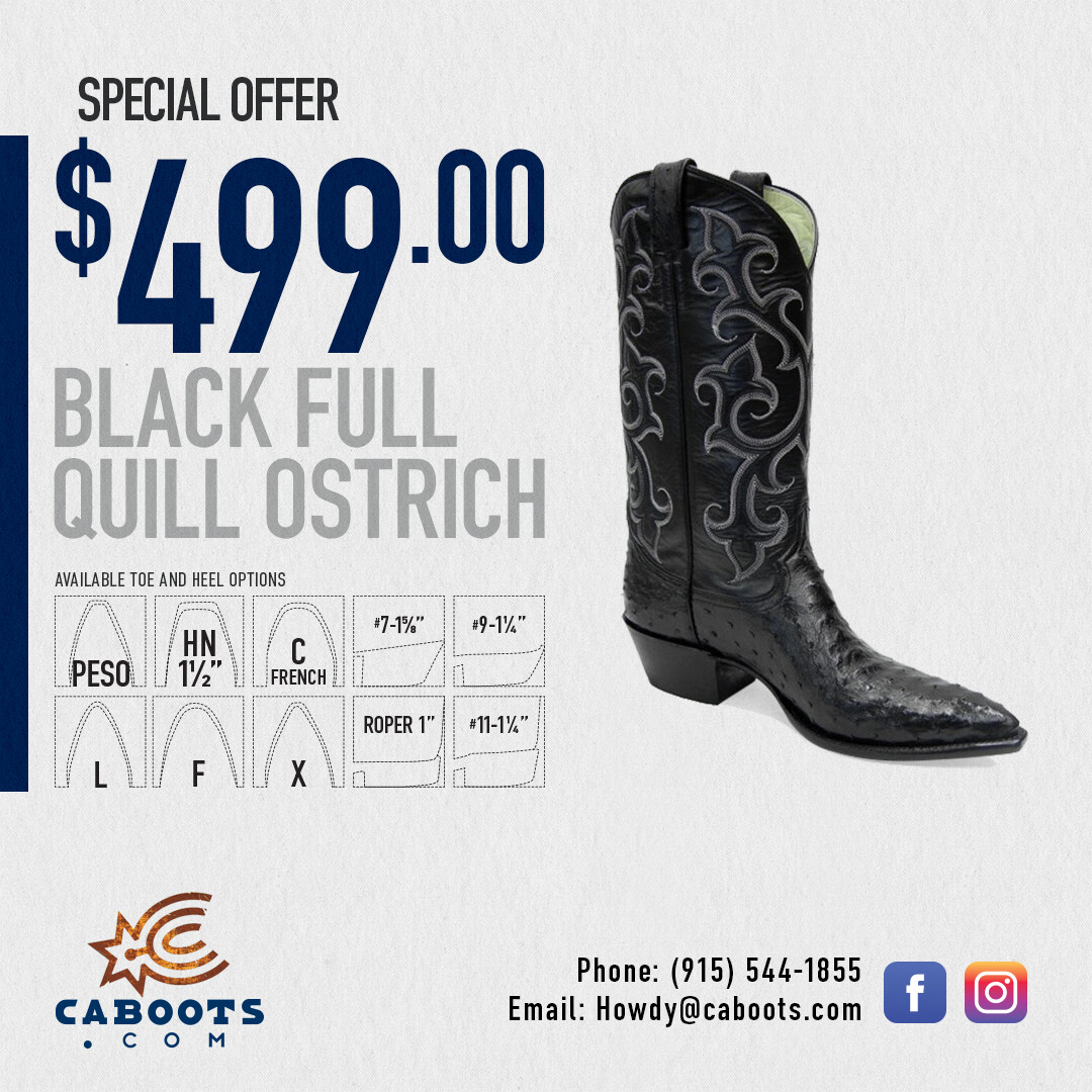 Black Full Quill Ostrich SPECIAL $499