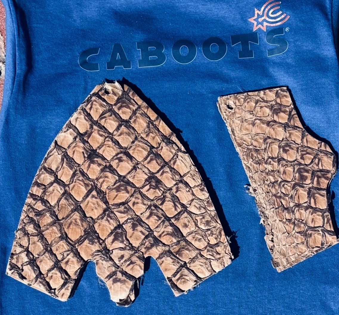 Pirarucu Vamps Template 13M/14L