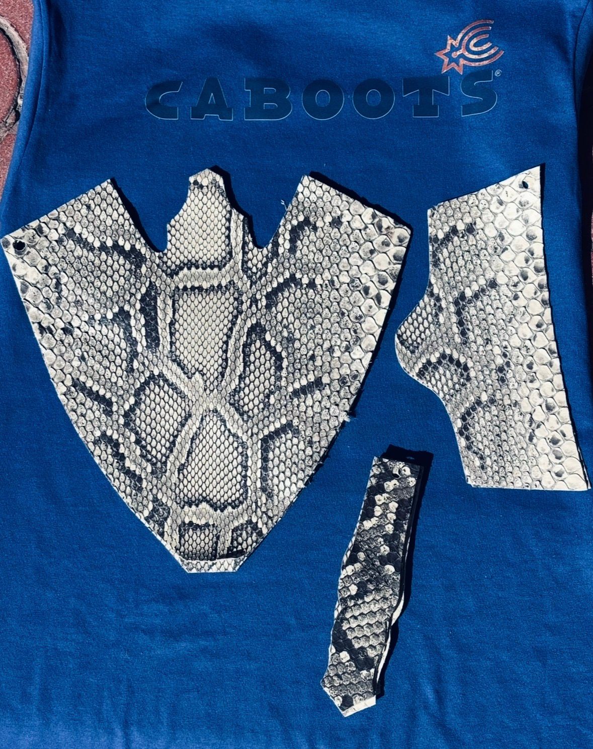 Python Vamps 11M/12L