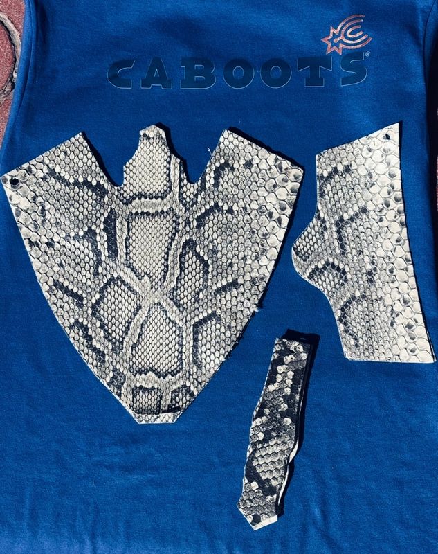 Python Vamps 11M/12L