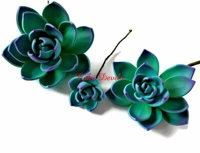 Succulent Cake Topper Flowers