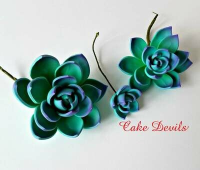 Succulent Cake Topper Flowers