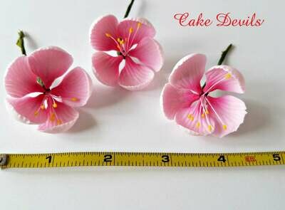 Cherry Blossom Cake Topper Flowers