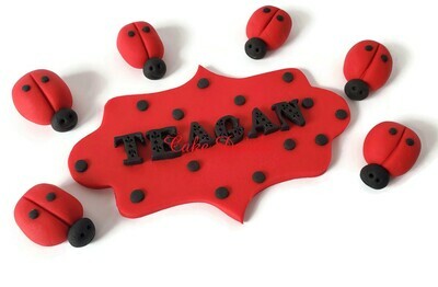 Fondant Ladybug Cake Topper Kit with personalized name plaque and age
