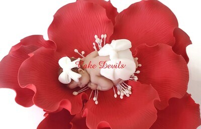Fondant Christmas Baby with Bows in a Large Flower Cake Topper, for a Christmas Baby Shower or Pregnancy Announcement