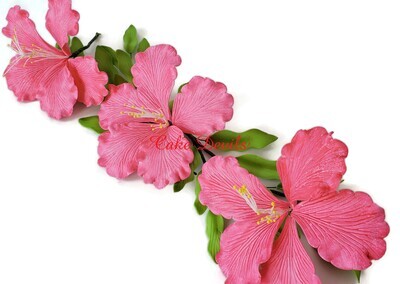 Tropical Fondant Hibiscus Flowers Cake Toppers with optional Leaves and Orchids