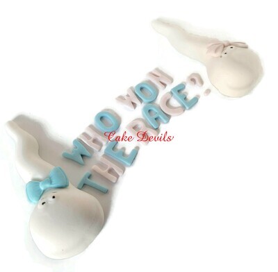 Who Won the Race Sperm Gender Reveal Cake Toppers, Boy or Girl Baby, Pink or Blue
