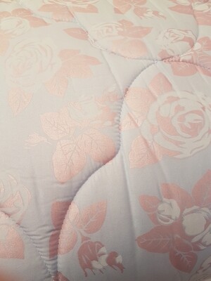 Couverture d'Eucalypte