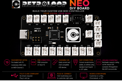 Retroloop Neo (DIY)