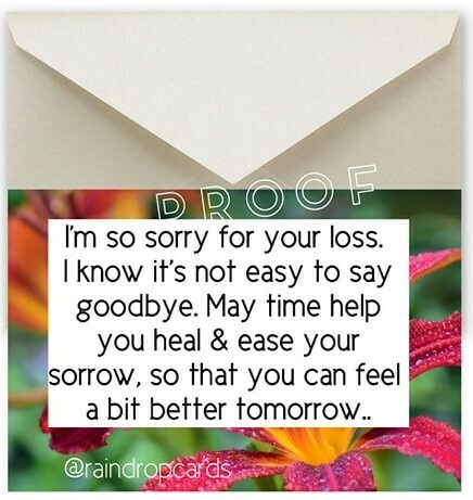 Sympathy Note Card