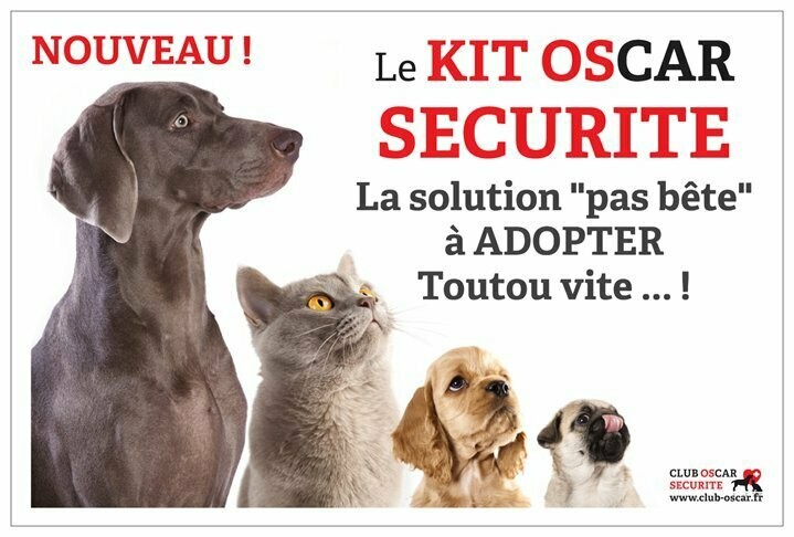 Kit OSCAR SECURITE complet - maison - voiture et déplacements