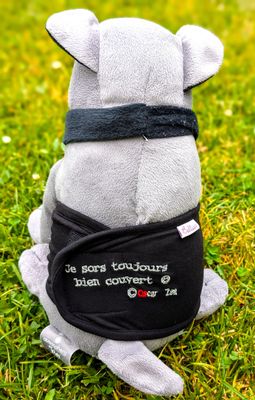 BANDEAU STOP PIPI - EDITION LIMITEE - "Je sors toujours bien couvert !"