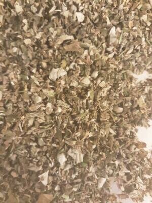 Brazilian Vervain