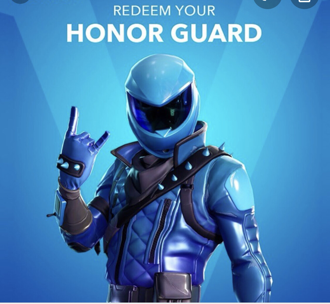 Honor guard skin 