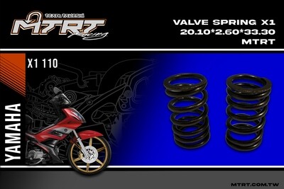 VALVE SPRING X1 MTRT