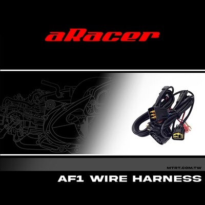 AF1 WIRE HARNESS