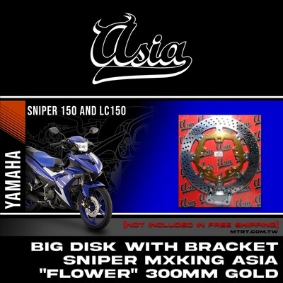 BIG DISK SNIPER MXKing GOLD 300MM with bracket  ASIA "FLOWER"