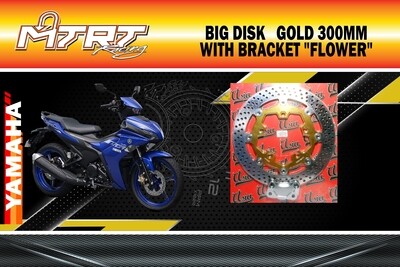 BIG DISK SNIPER MXKing GOLD 300MM with bracket ASIA "FLOWER"
