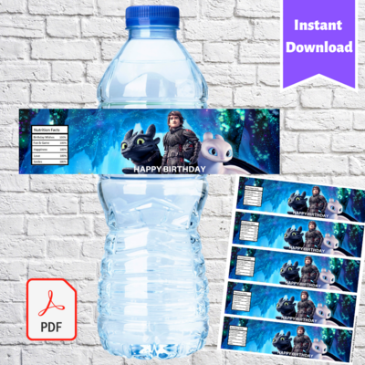 How To Train Your Dragon Water Bottle Labels