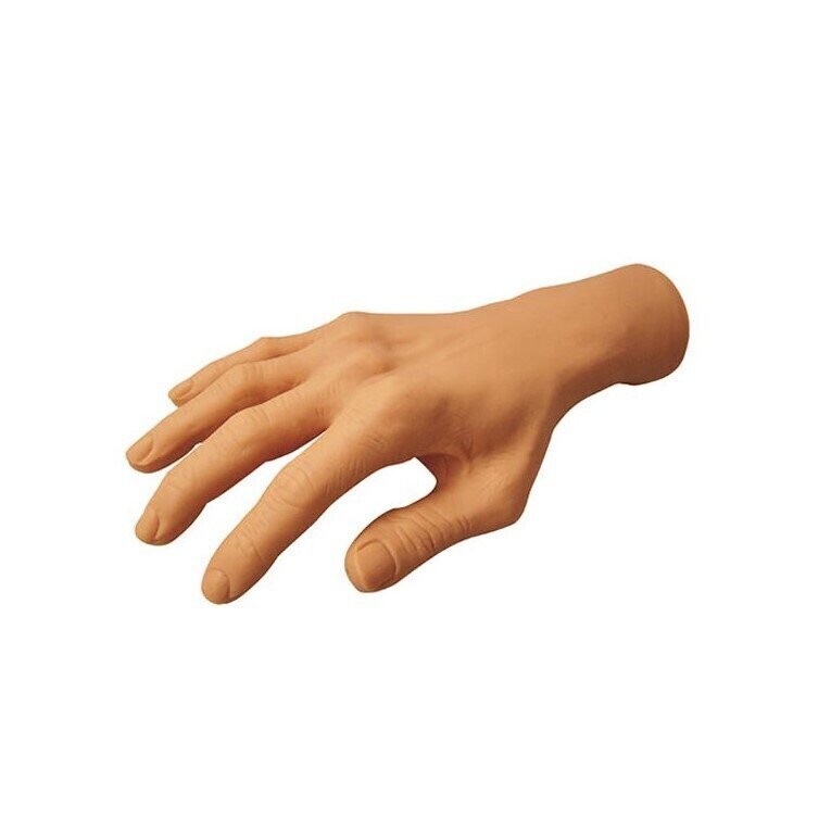 Mano sintetica per esercitazione Thuya
