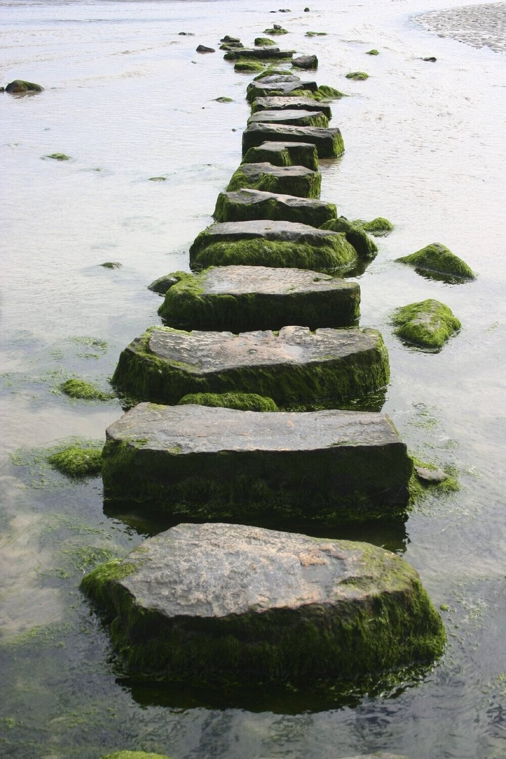 Traumreise/ Meditation: Beginne deinen Seelenweg MP3+Link+CD+A7 Büchlein
