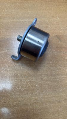 Tensionatore cinghia